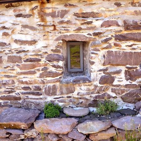 Secluded Cottage Nestled In The Beara Peninsula Killarney Zewnętrze zdjęcie
